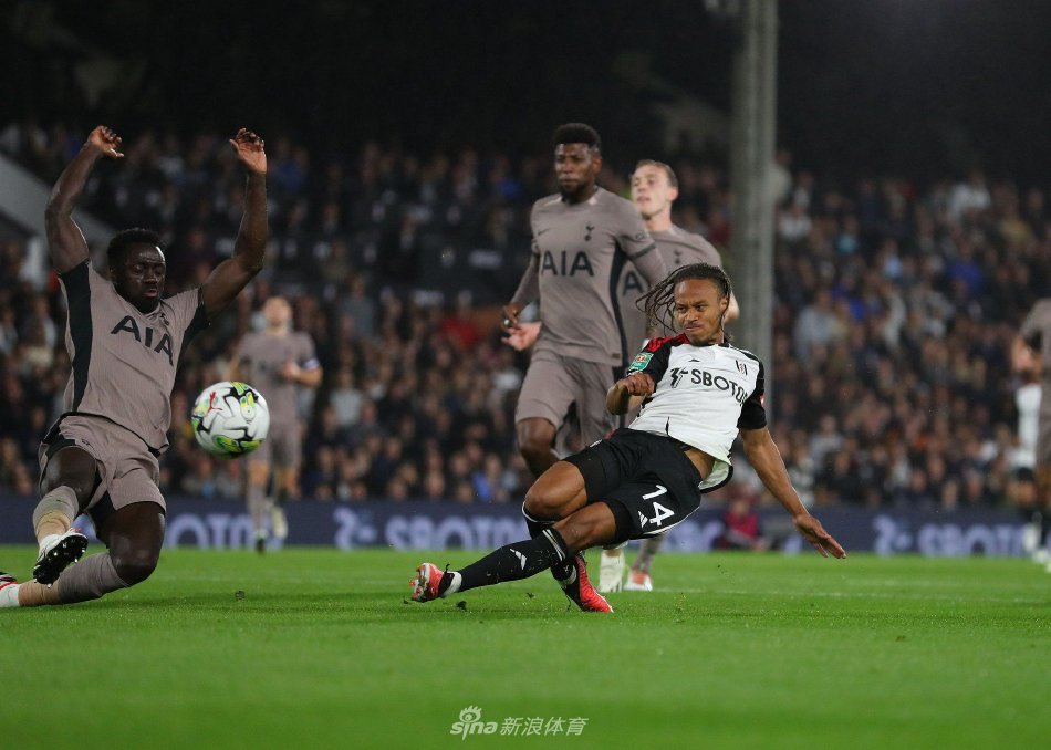 场球迷的巨 场球迷的巨